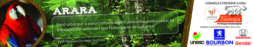 27 e 28 de novembro de 2010