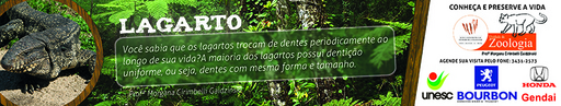 4 e 5 de dezembro de 2010
