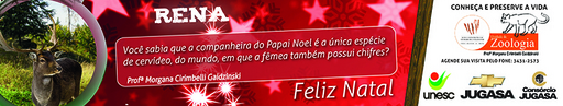 11 e 12 de dezembro de 2010
