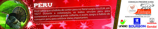 18 e 19 de dezembro de 2010