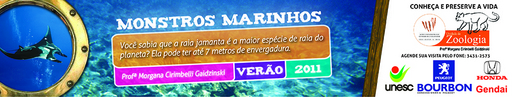 8 e 9 de janeiro de 2011