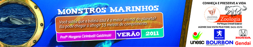 15 e 16 de janeiro de 2011