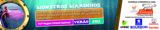 29 e 30 de janeiro de 2011