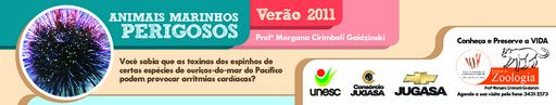 12 e 13 de fevereiro de 2011
