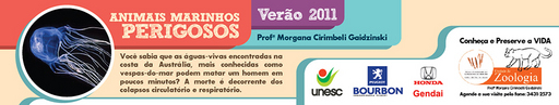 19 e 20 de fevereiro de 2011