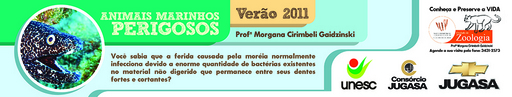 12 e 13 de março de 2011