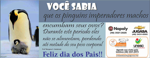 13 e 14 de agosto de 2011