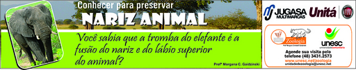 10 e 11 de setembro de 2011