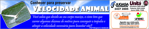 1 e 2 de outubro de 2011
