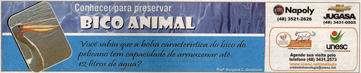 15 e 16 de outubro de 2011