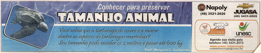 19 e 20 de novembro de 2011