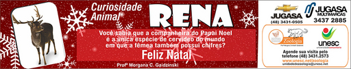 10 e 11 de dezembro de 2011