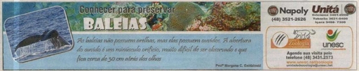 11 e 12 de fevereiro de 2012
