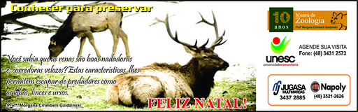 8 e 9 de dezembro de 2012