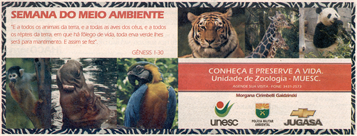 6 e 7 de junho de 2009