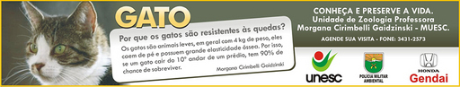 18 e 19 de julho de 2009