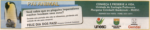 8 e 9 de agosto de 2009