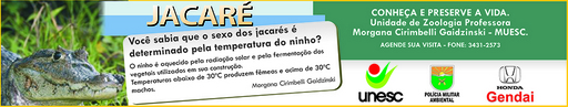 15 e 16 de agosto de 2009
