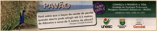 21 e 22 de agosto de 2009