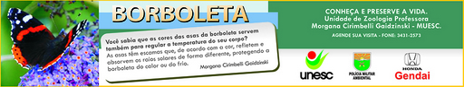 29 e 30 de agosto de 2009