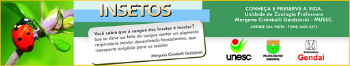 5, 6 e 7 de setembro de 2009