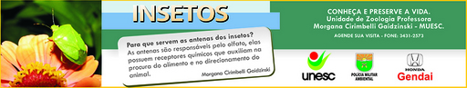 12 e 13 de setembro de 2009