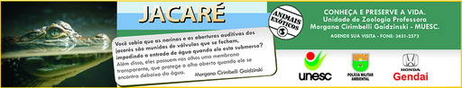 19 e 20 de setembro de 2009