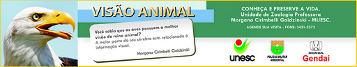 25 e 26 de setembro de 2009