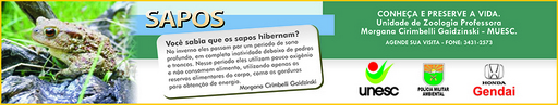 3 e 4 de outubro de 2009