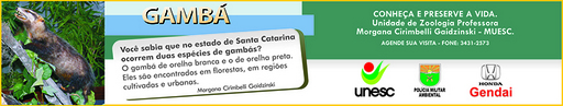 17 e 18 de outubro de 2009