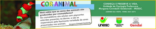 1 e 2 de novembro de 2009