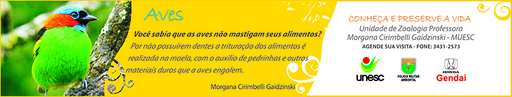 14 e 15 de novembro de 2009