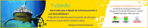 21 e 22 de novembro de 2009