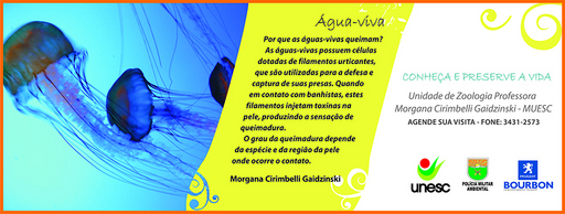 13 e 14 de fevereiro de 2010