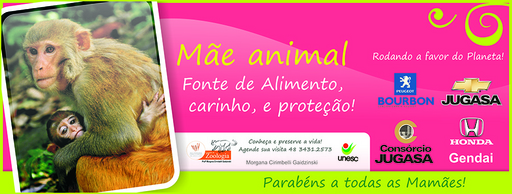 8 e 9 de maio de 2010