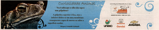22 e 23 de maio de 2010