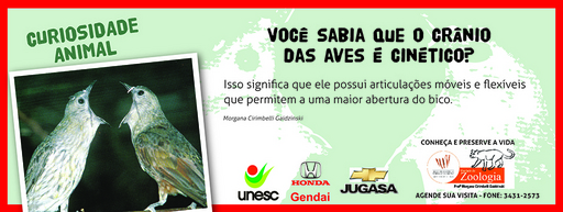 5 e 6 de junho de 2010