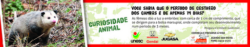 3 e 4 de julho de 2010