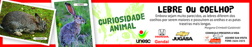10 e 11 de julho de 2010