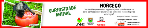 17 e 18 de julho de 2010