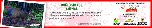 24 e 25 de julho de 2010