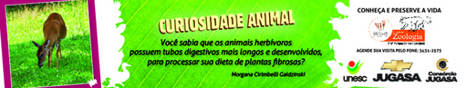 7 e 8 de agosto de 2010