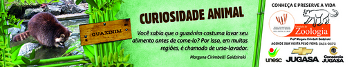 14 e 15 de agosto de 2010