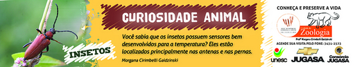 21 e 22 de agosto de 2010