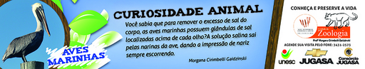 28 e 29 de agosto de 2010