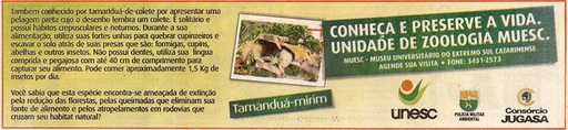8 de maio de 2007