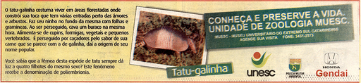26 e 27 de maio de 2007
