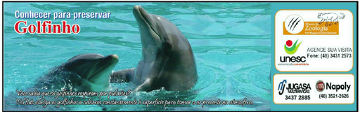 12 e 13 de janeiro de 2013