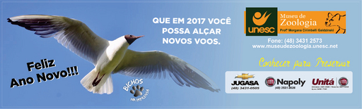 Edição diária 30 de dezembro de 2016