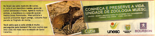 11 e 12 de agosto de 2007